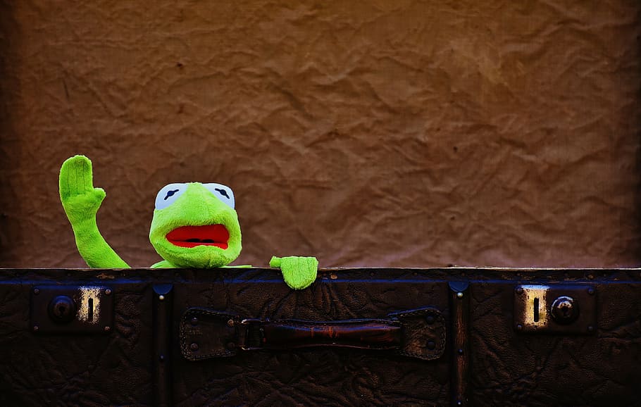 Kermit the Frog, farewell, cute, children, funny, sweet, luggage