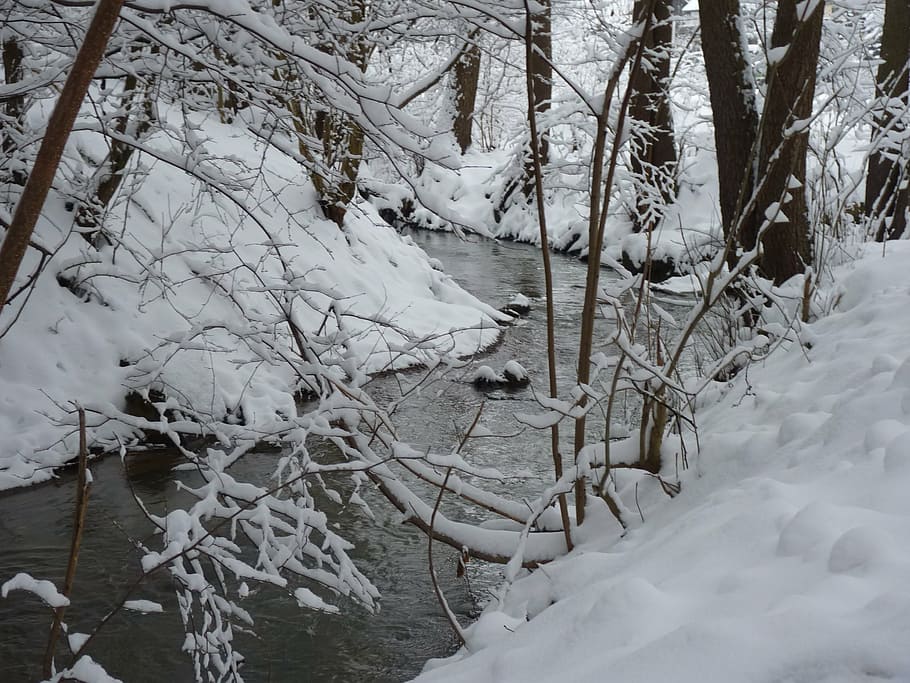 winter, bach, water, waters, wintry, cold, snow, white, cold temperature HD wallpaper