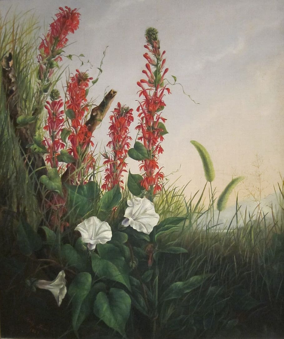 red cardinal flowers beside white moon flowers painting, mary pierce