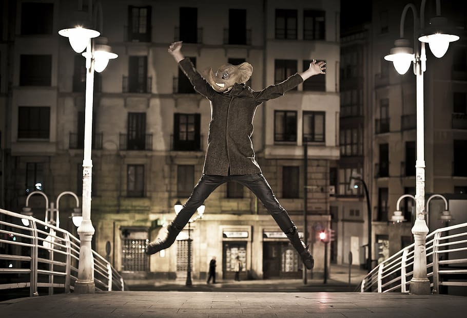 man, elephant, bilbao, bridge, street, jumping, spring, illuminated HD wallpaper