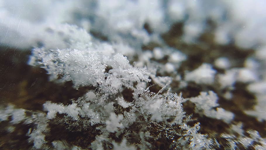 snowflake, winter, cold, ice, frozen, blur, cold temperature HD wallpaper