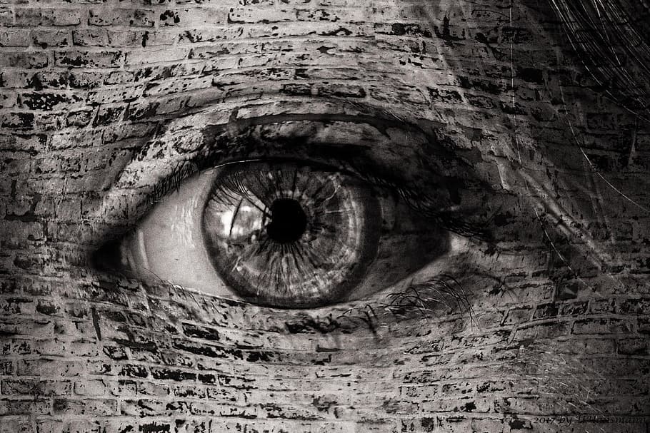 eye, wall, composing, black and white, sensory perception, human eye HD wallpaper