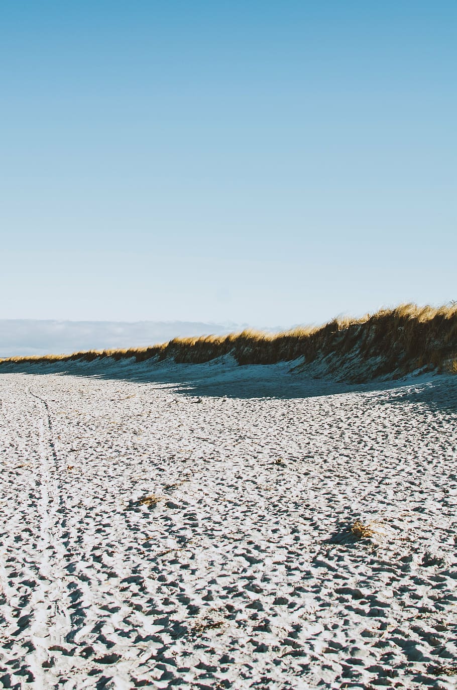 beach, coast, shore, sand, grassy, dunes, ocean, water, seas HD wallpaper