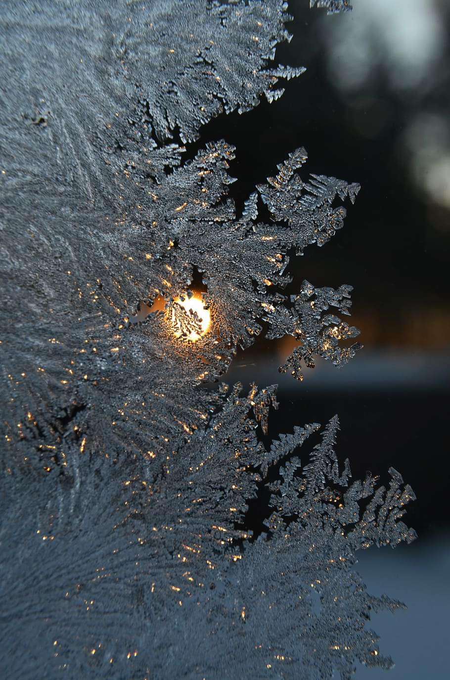 snowflakes close-up photo, frost, window, winter, cold, white HD wallpaper