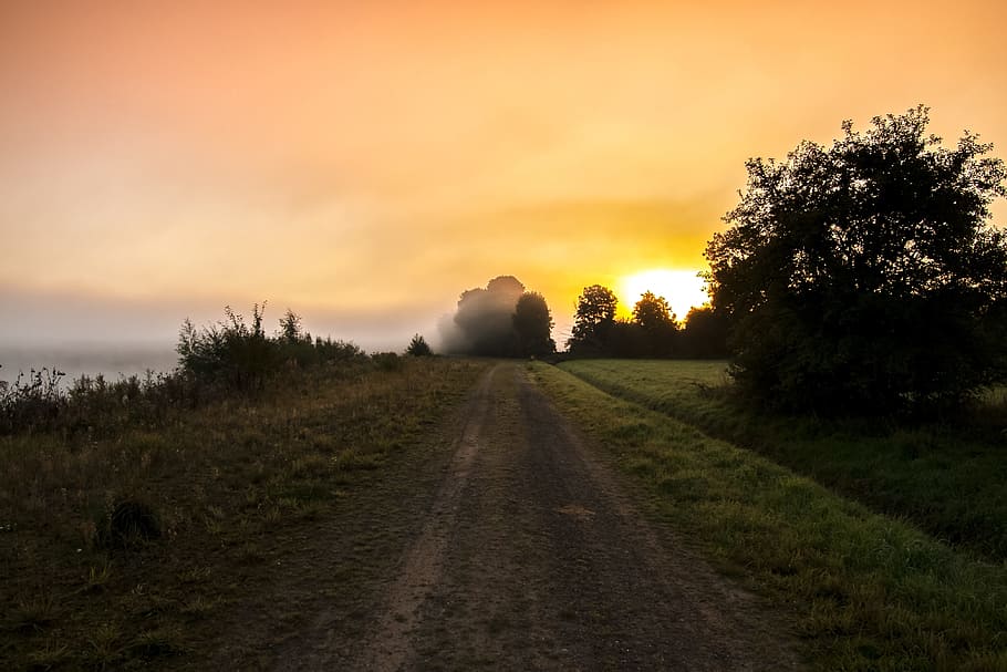 Landscape, Twilight, Sun, nature, sunset, rural Scene, scenics HD wallpaper