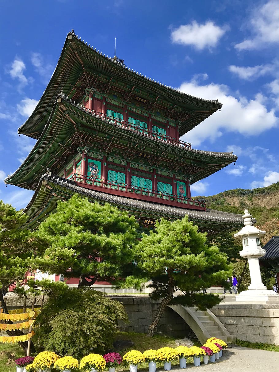 temple, korea, botop, built structure, architecture, building exterior HD wallpaper