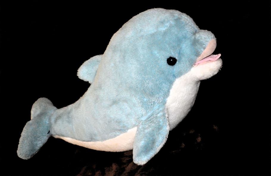 HD wallpaper: close-up photo of blue and white dolphin plush toy, Dolphin,  Fish | Wallpaper Flare