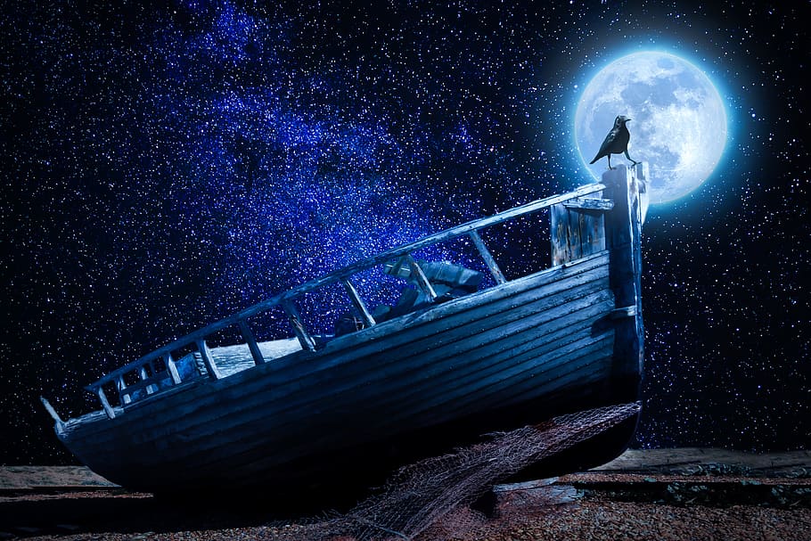 black bird on top of brown wooden boat during full moon illustration HD wallpaper
