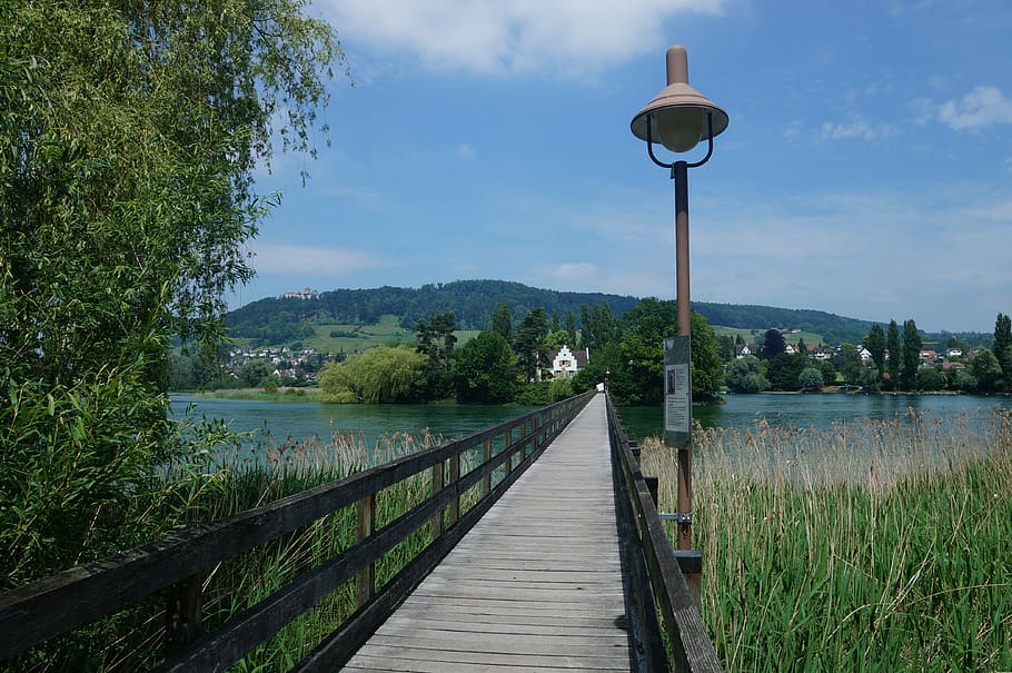 bridge, franciscan, island, rhine, lake, nature, tree, outdoors HD wallpaper