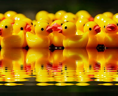 yellow rubber duckies on body of water, ducks, figures, group HD wallpaper