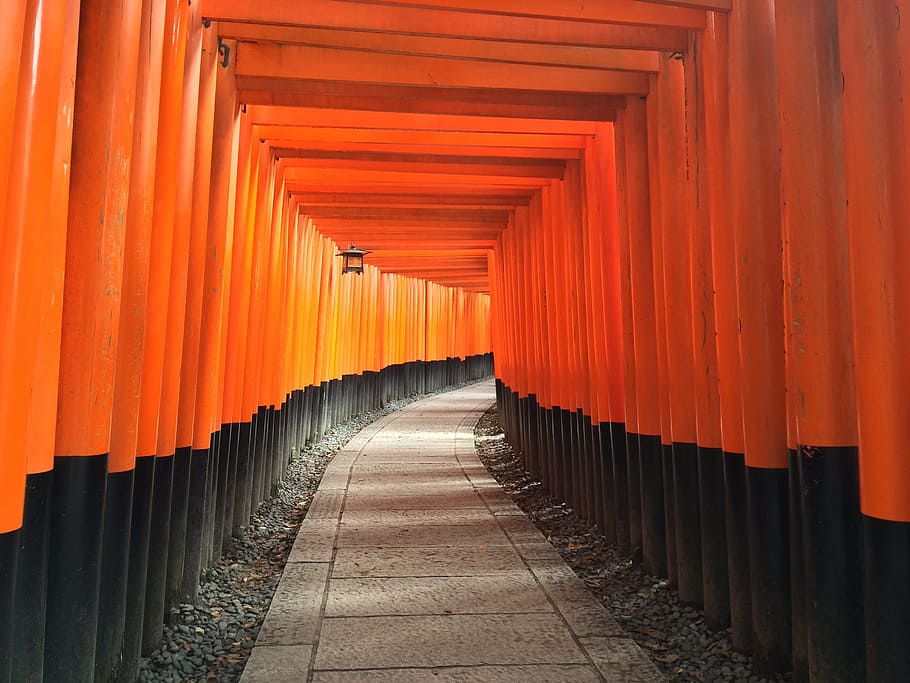 orange and black pathway, shrine, inari, temple, religion, japan, HD wallpaper