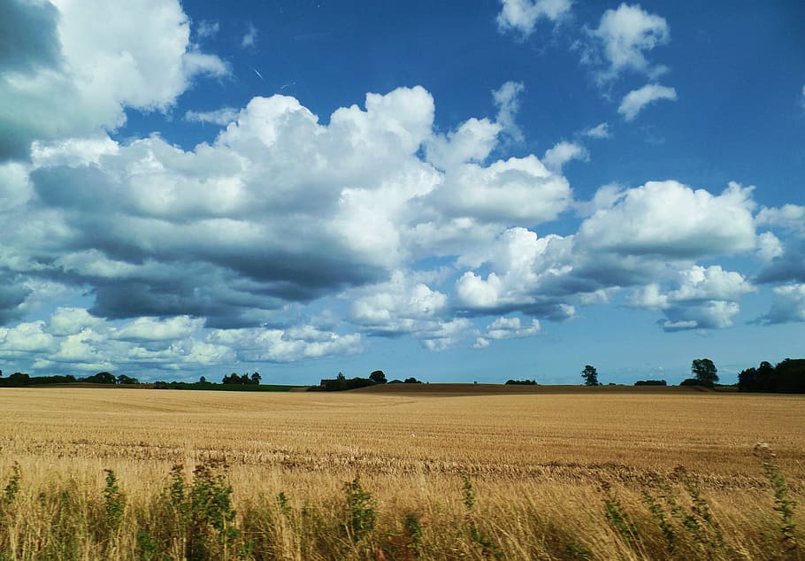 denmark, landscape, clouds, nature, rest, north, holiday, cloud - sky HD wallpaper