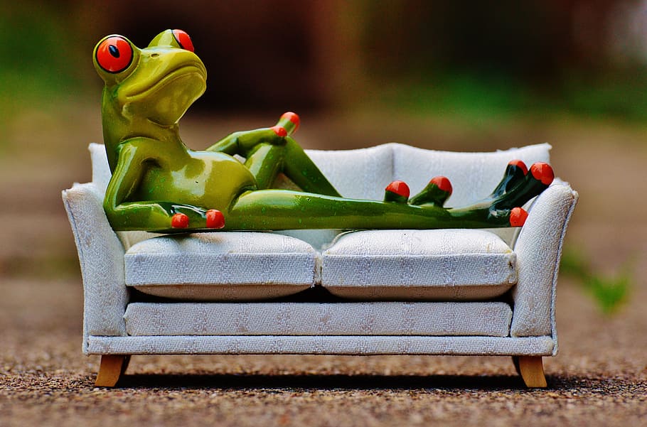 green tree frog lounging on white sofa figurine, relaxation, rest, HD wallpaper