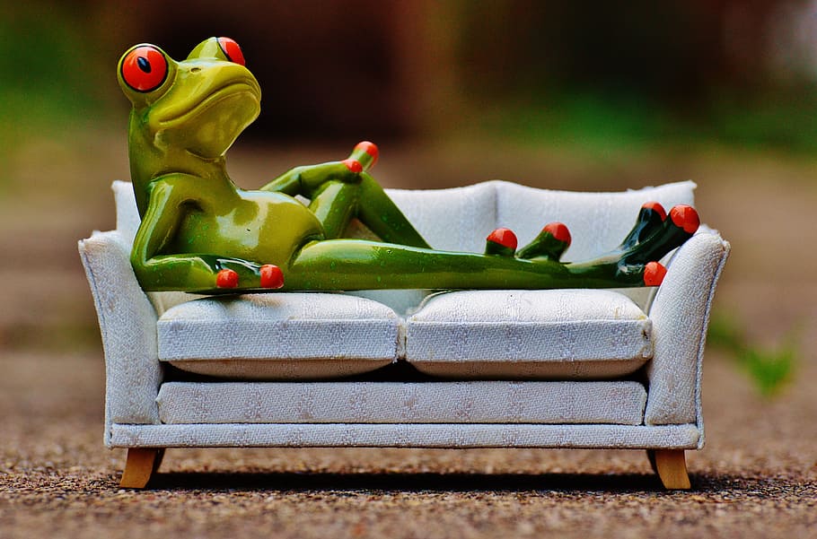 green tree frog lounging on white sofa figurine, relaxation HD wallpaper