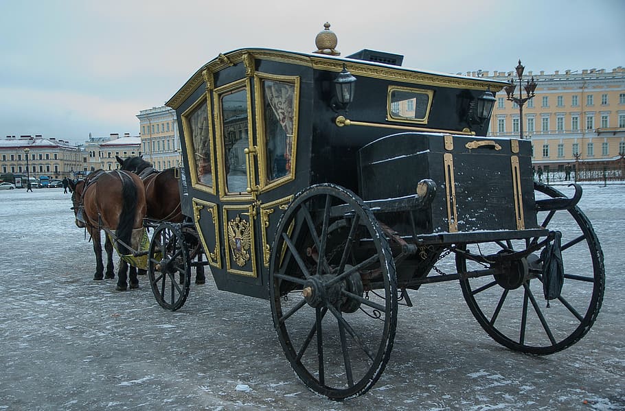 black and brown carriage in daytime, russia, saint-petersburg, HD wallpaper