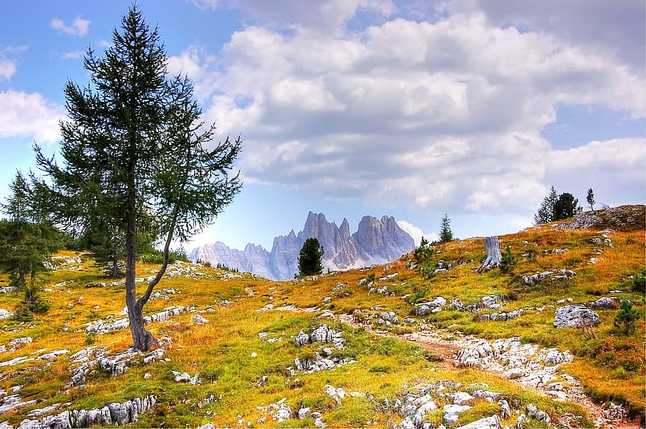 orange field under cloudy sky, dolomites, mountains, italy, south tyrol, HD wallpaper