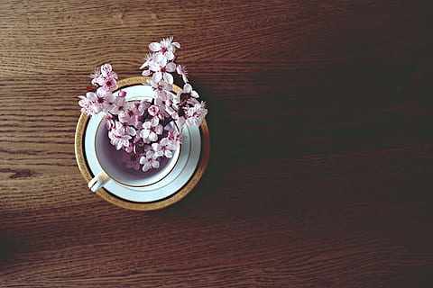 photo of pink petaled flower in brown wooden board, spring HD wallpaper