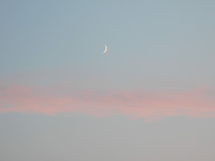 quarter moon during daytime, landscape photo of crescent moon during dusk HD wallpaper