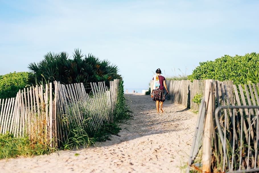 footpath, pathway, sand, beach, person, walking, nature, sandy HD wallpaper