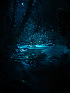 grafixart fireflies wood la colle sur loup, illustration of body of water in forset HD wallpaper