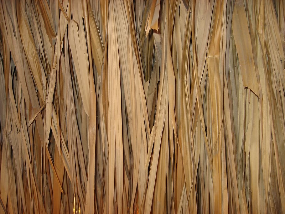 texture, straw, hut, backgrounds, full frame, no people, brown HD wallpaper