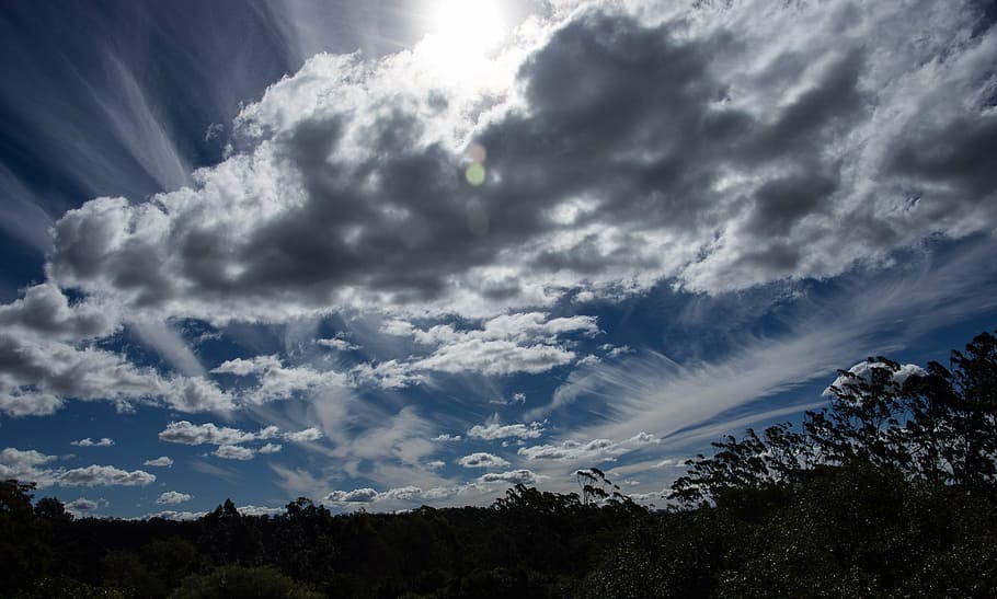 sky, clouds, sun light, rays, blue, grey, white, horizon, trees HD wallpaper