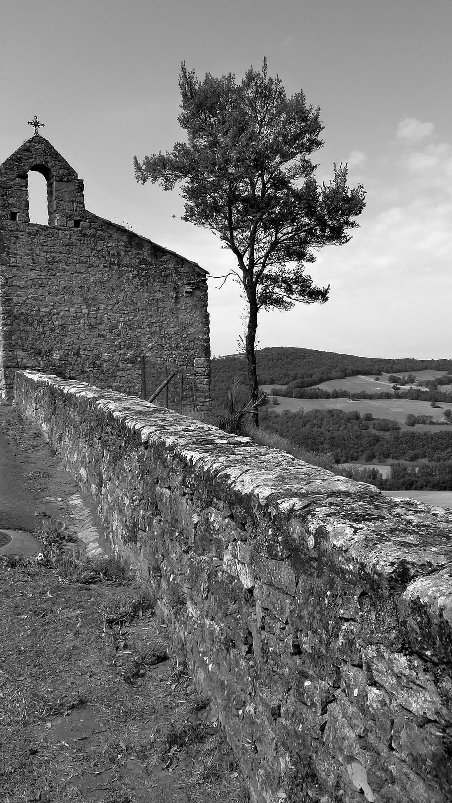 church, tree, path, horizon, puycelsi, france, black And White HD wallpaper