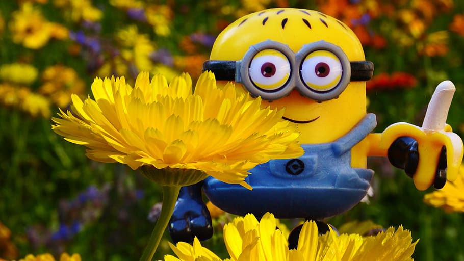 HD wallpaper: minion, banana, figure, funny, flowers, meadow, toy play,  yellow | Wallpaper Flare