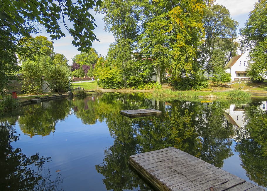 water, nature, tree, reflection, pool, pond, outdoor, season HD wallpaper