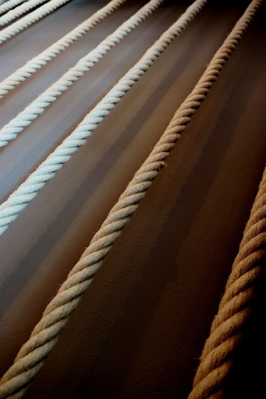 ropes, dew, cord, wrapped, tether, no people, close-up, full frame HD wallpaper