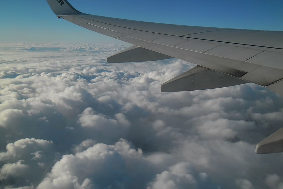 aerial photography of airplane above sea of clouds, flight HD wallpaper