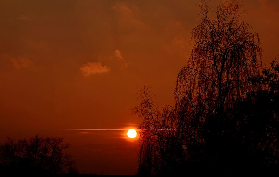 Setting Sun, Sunset, Evening, Sky, evening sky, trees, silhouette HD wallpaper