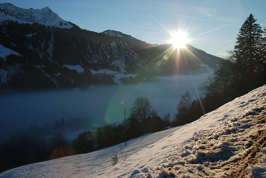 fog, sun, snow, forest, alpine, winter, nature, new zealand HD wallpaper