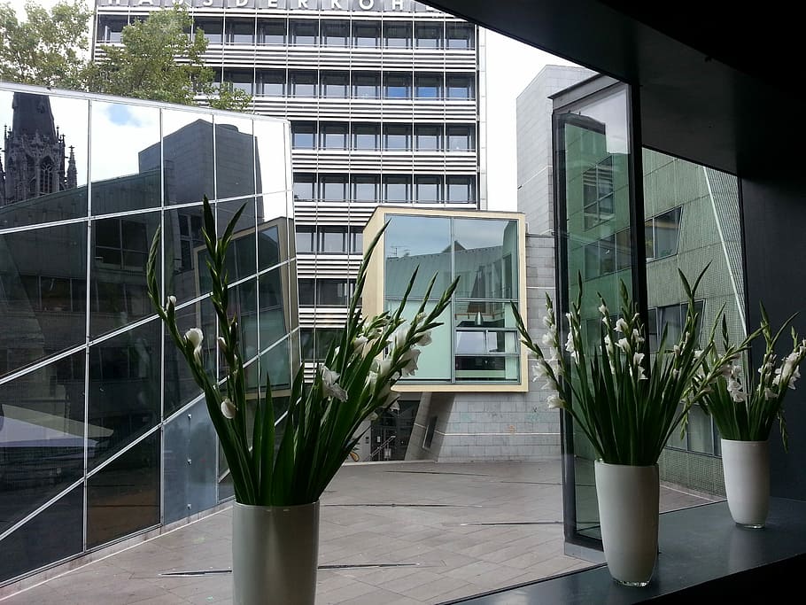 Architecture, Mirroring, Aachen, Modern, building, cool, glazed HD wallpaper