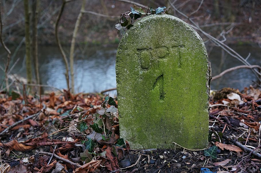 Blank Milestone stock photo. Image of national, direction - 31861264