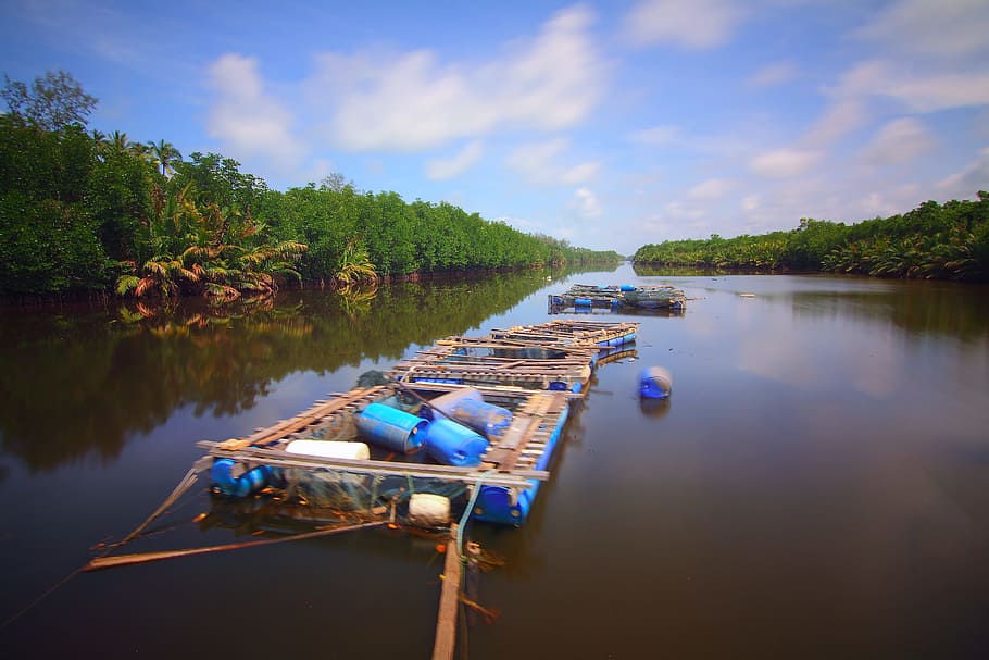 jetty, nature, sky, water, bamboo, boat, clouds, exotic, forest HD wallpaper