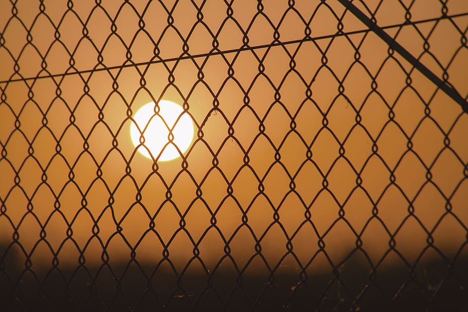 chain link fence in close-up photo at golden hour, sunset, grid