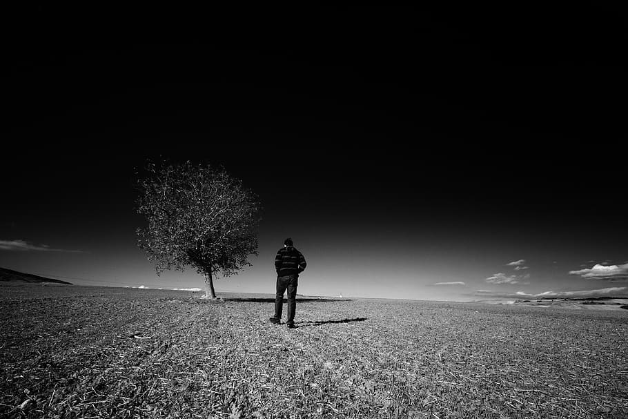 grayscale photography of man wearing jacket near tree, landscape, HD wallpaper