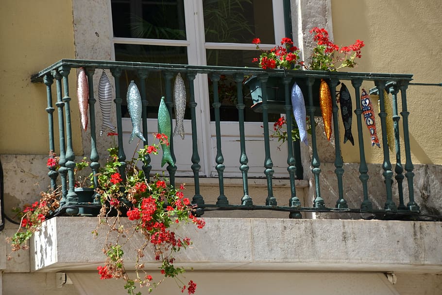 fish, balcony, window, facade, building, architecture, home HD wallpaper
