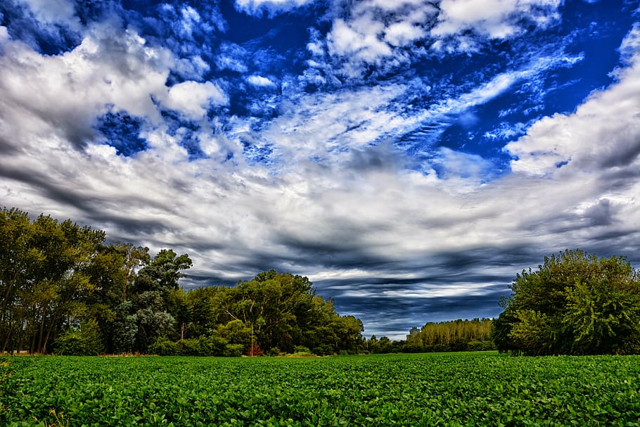 landscape, planting, clouds, field, cloud - sky, agriculture HD wallpaper