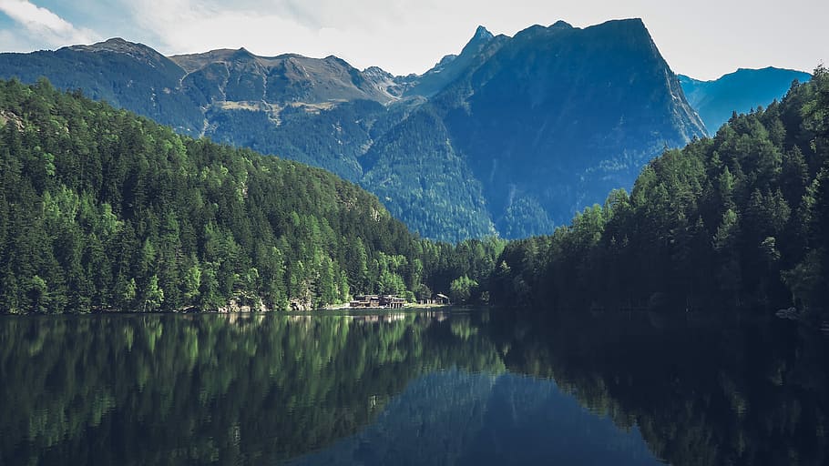 body of water within mountain range during daytime, lake surrounded by trees HD wallpaper