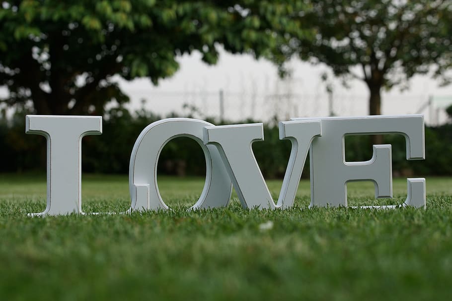 selective focus photography of white Love on green grass lawn HD wallpaper
