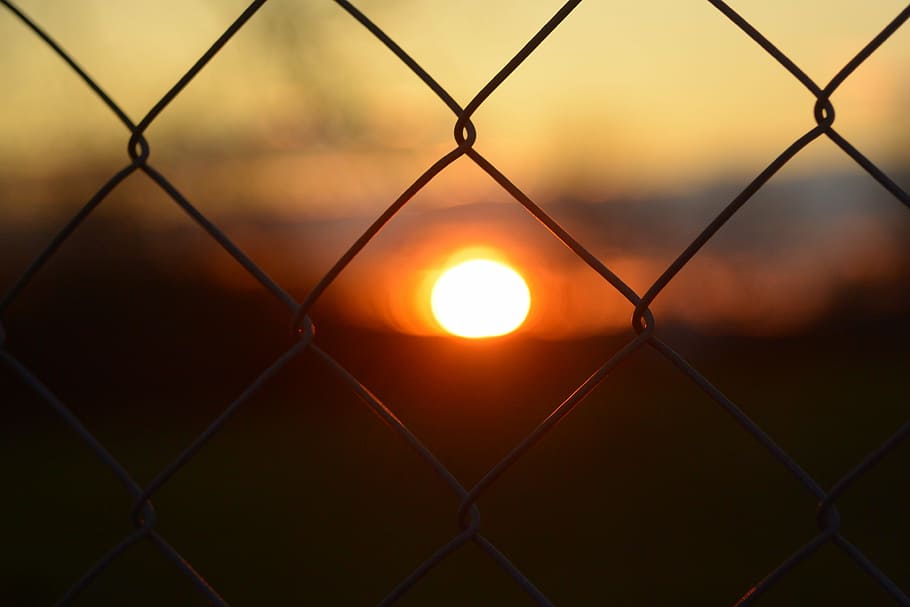 sunset, fence, grid, chainlink fence, security, protection HD wallpaper