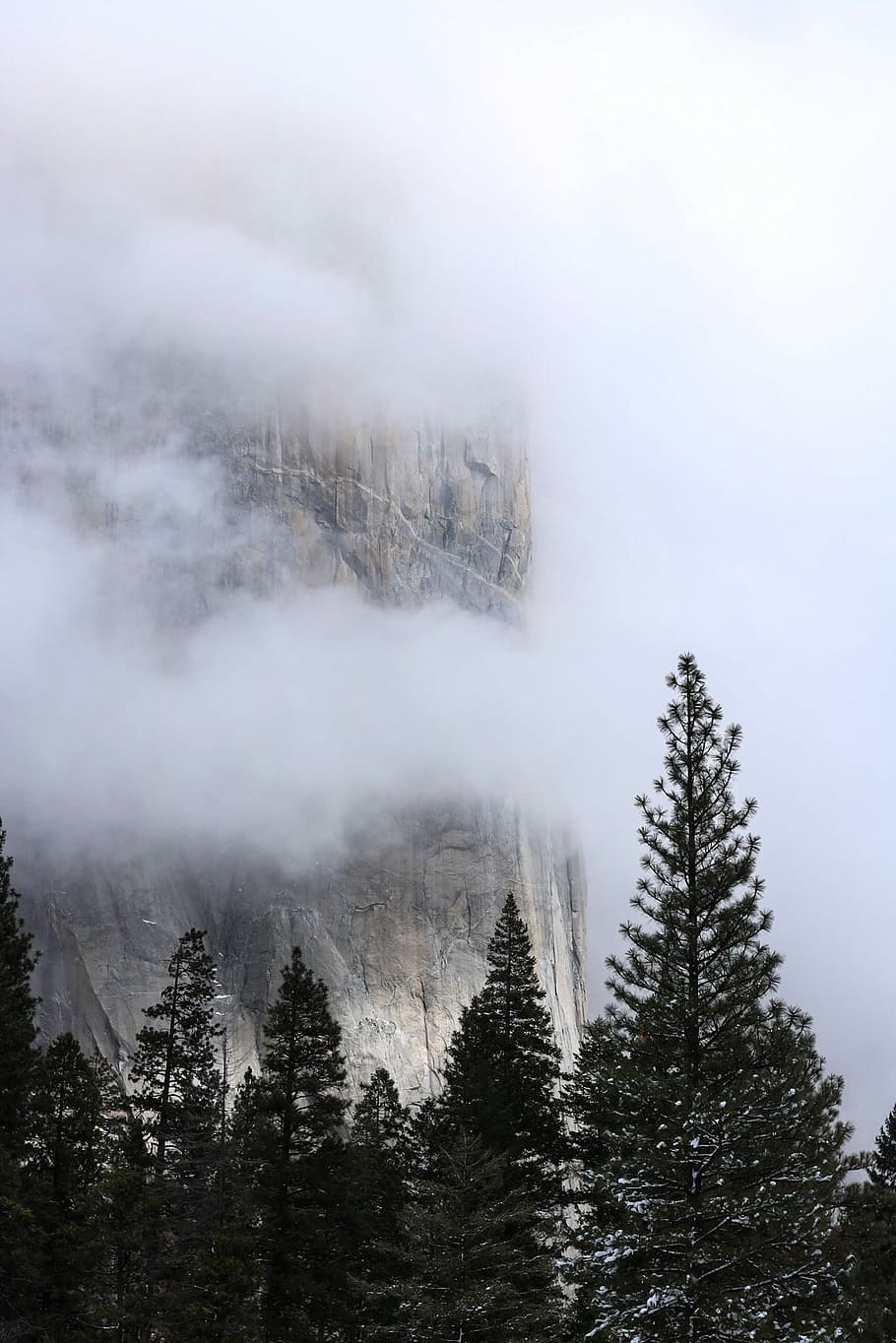 pine trees under clouds near rock mountains, landscape photo of gray cliff formations near green pine trees HD wallpaper