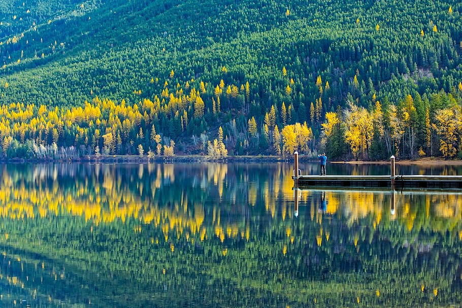 Reflection of Trees in Lake, dock, forest, jetty, landscape, mountain HD wallpaper