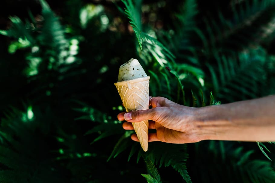 green, leaf, plant, nature, outdoor, ice cream, sweets, desserts HD wallpaper