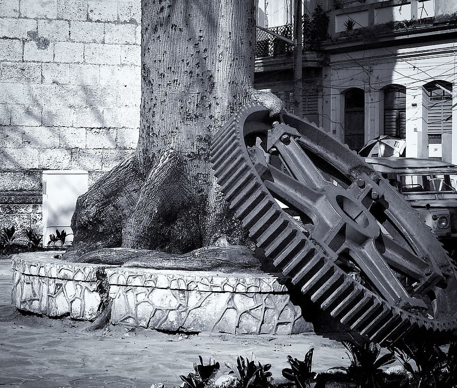grayscale photo of gear near tree, city, structure, cuba, downtown HD wallpaper