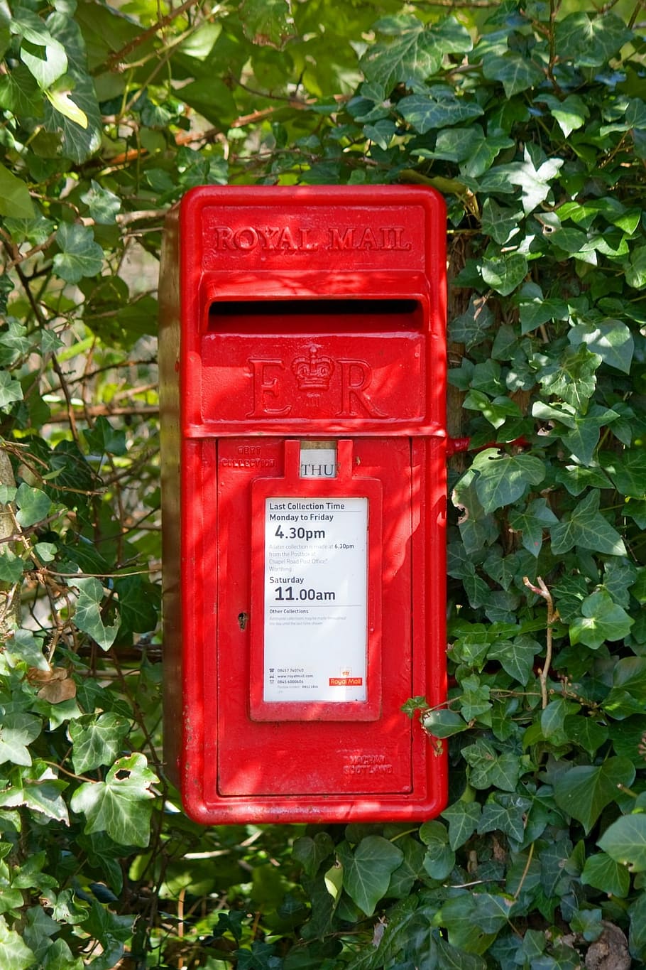 post box, mail box, letter box, rural, ivy, red, leaves, rustic