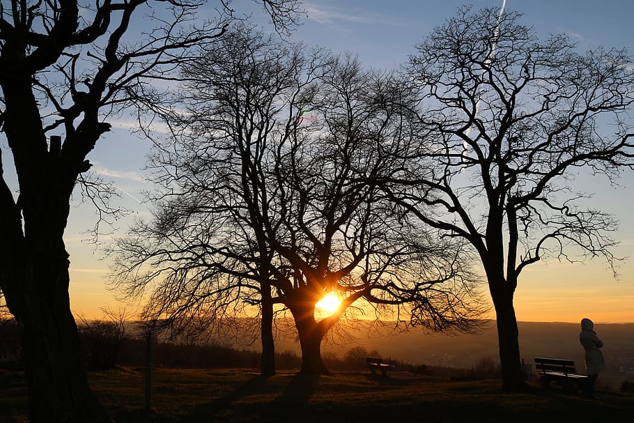 Sunset, Nature Conservation, spring, landscape, edge of the woods HD wallpaper