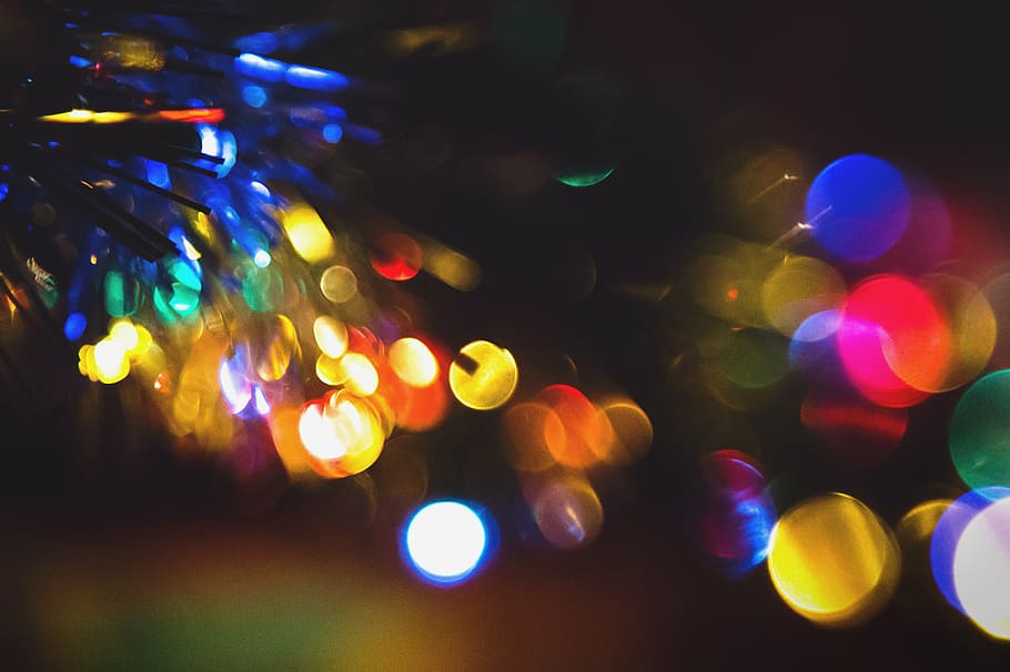 bokeh photography, light, tree, christmas, christmas tree, green HD wallpaper